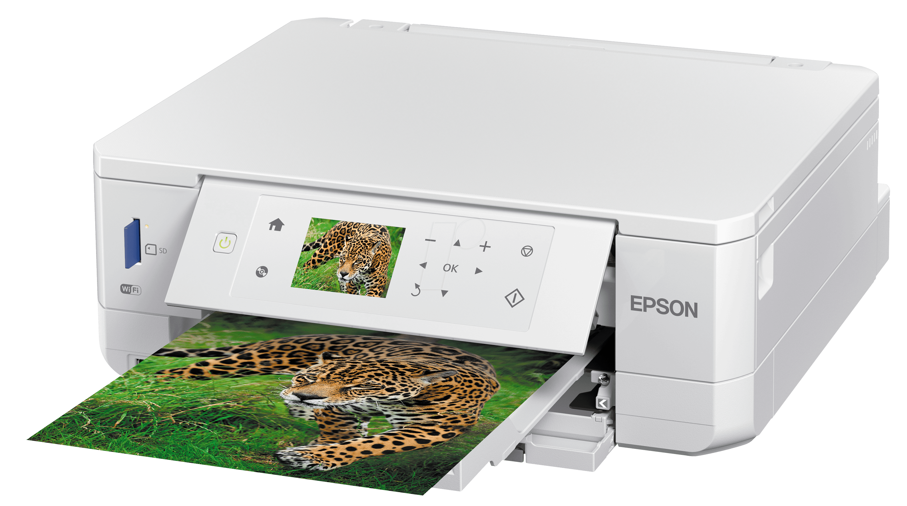 Epson Expression Premium XP-645