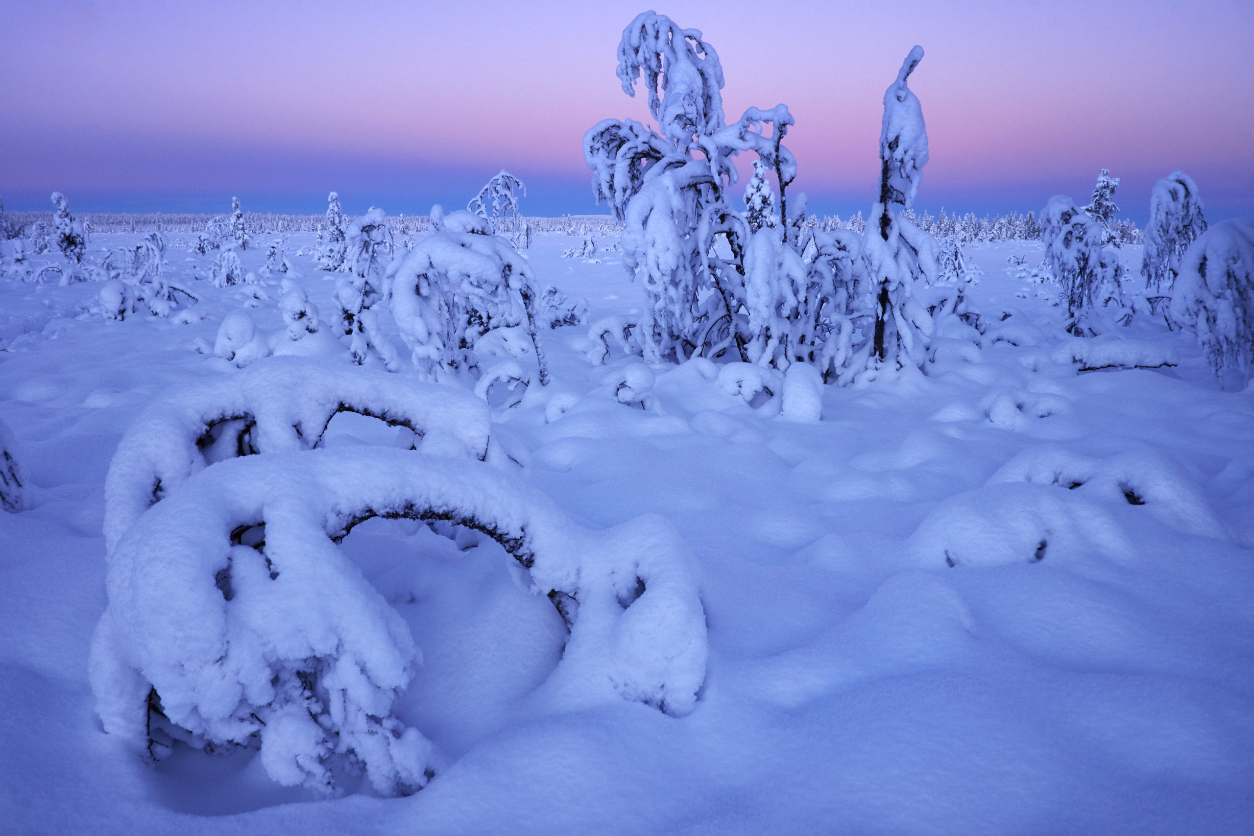 The Land of Eight Seasons – ny fotobok från Lappland av Serkan Günes