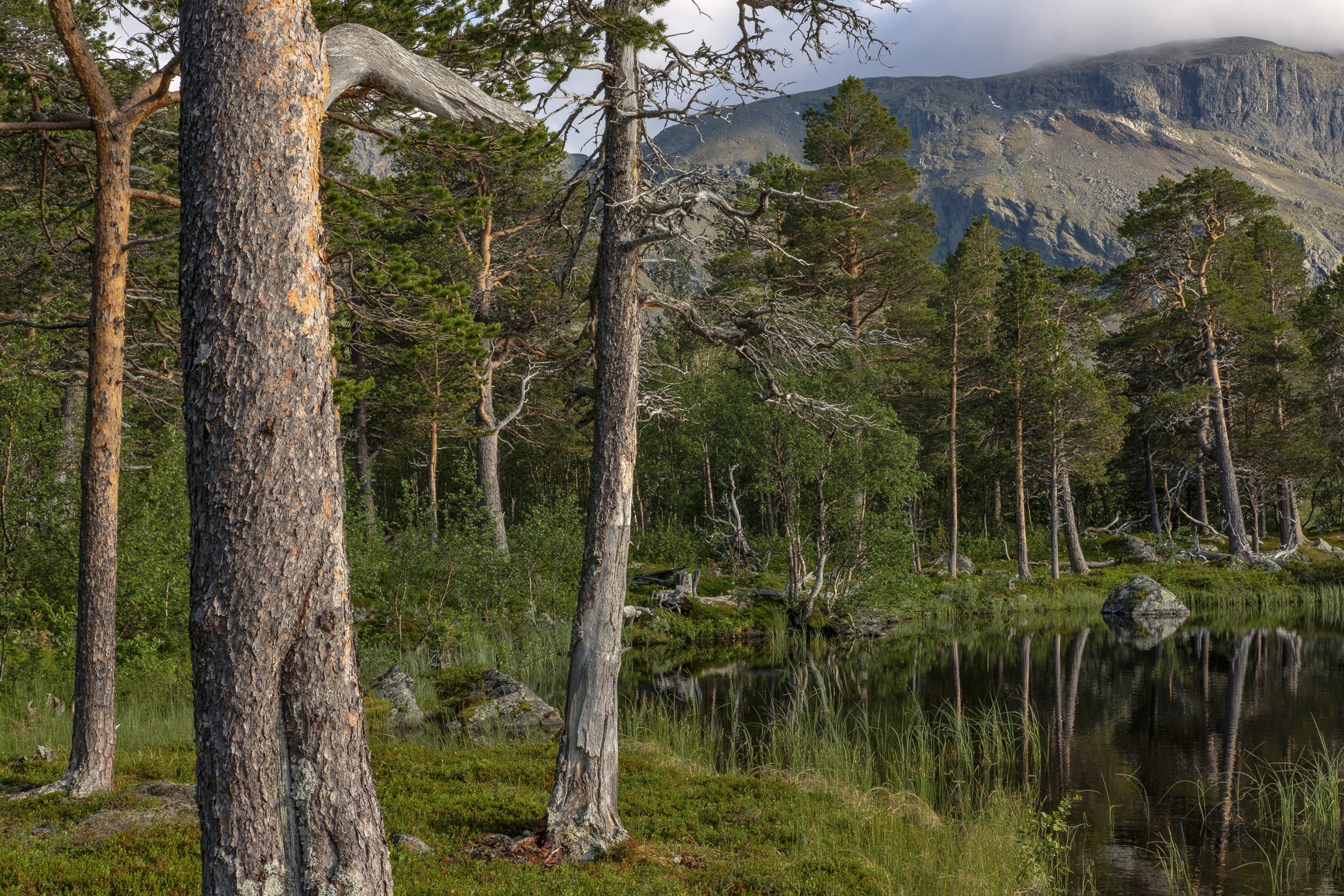 The Land of Eight Seasons - ny fotobok fra Lappland av Serkan Günes