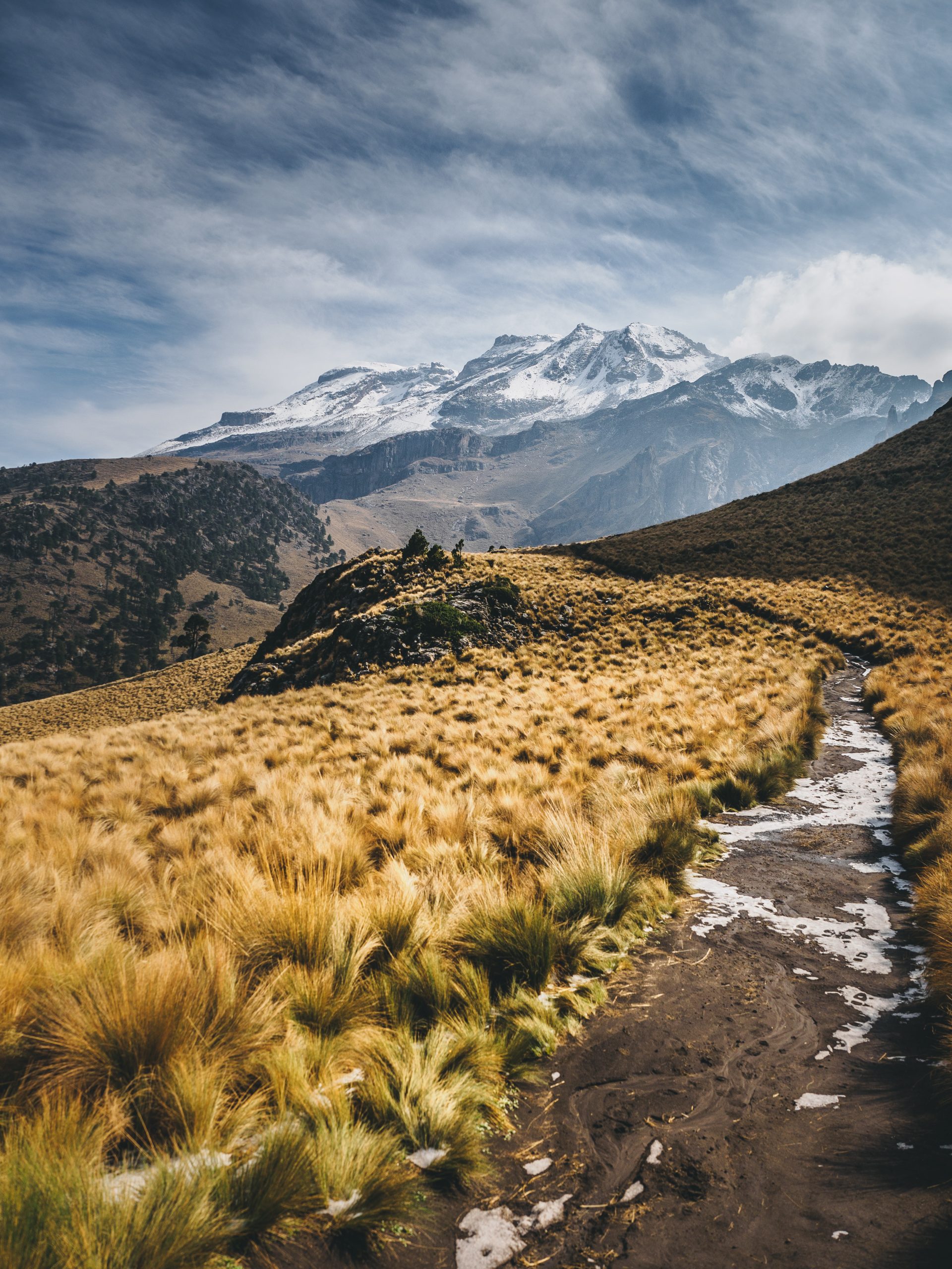 Vertikalt landskapsbilde