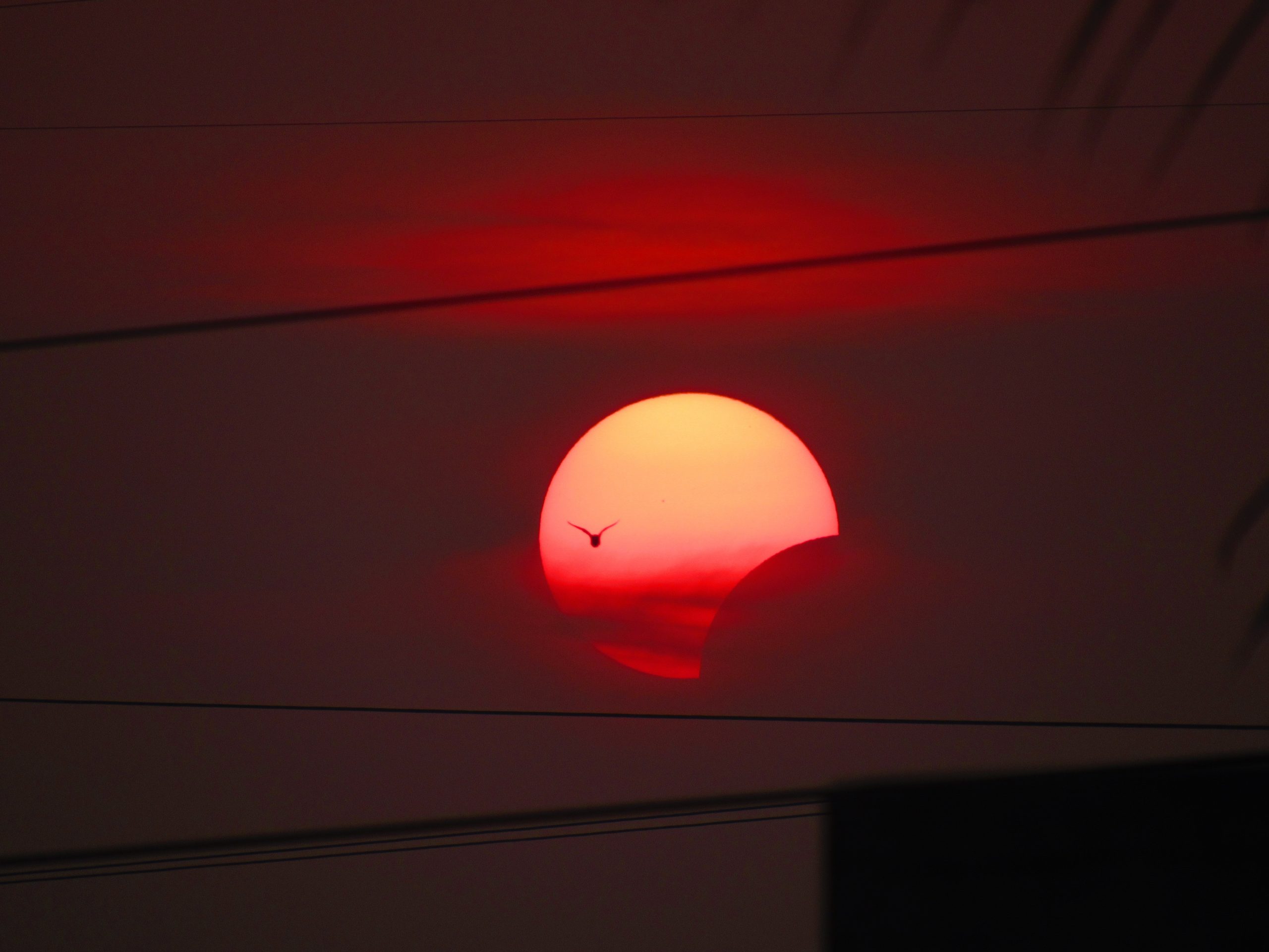 Delvis solformørkelse