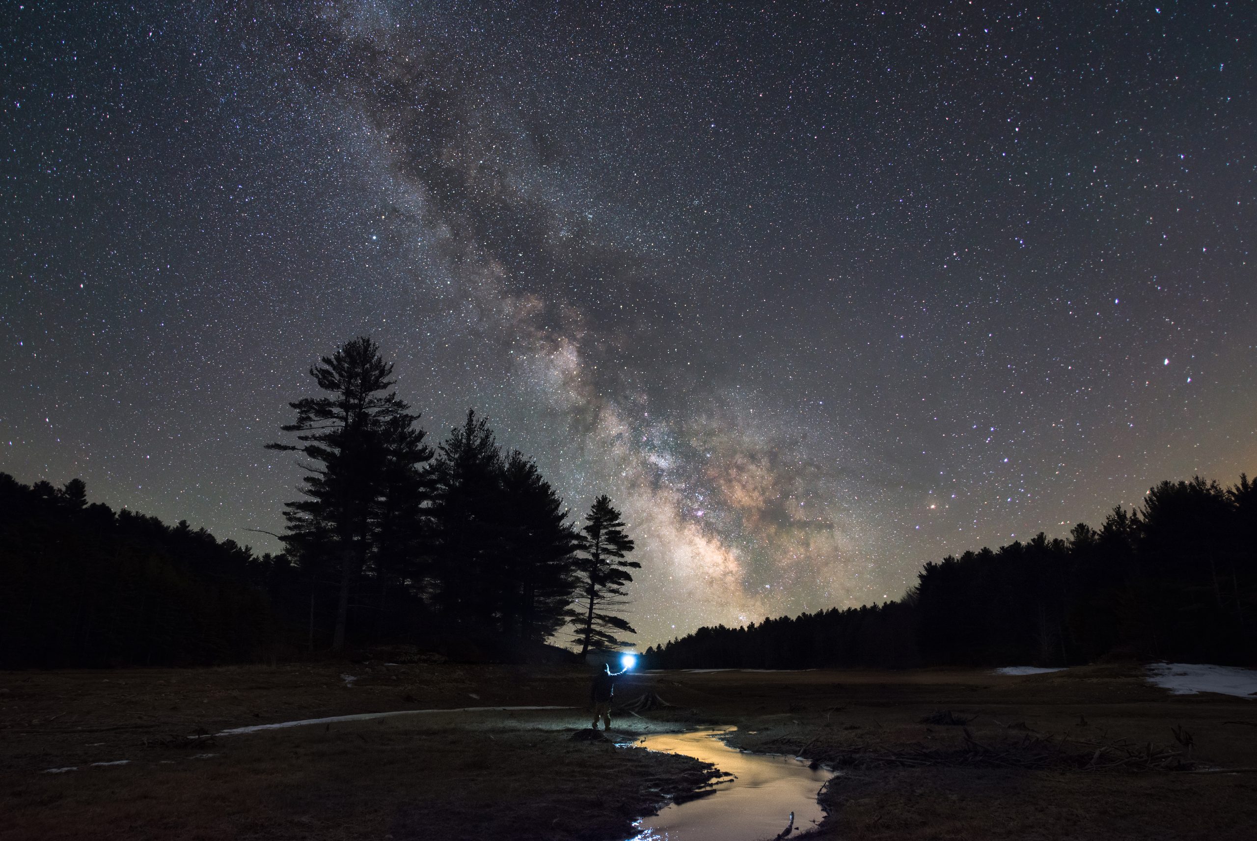 Bilde av Melkevejen med felv og en person i forgrunnen