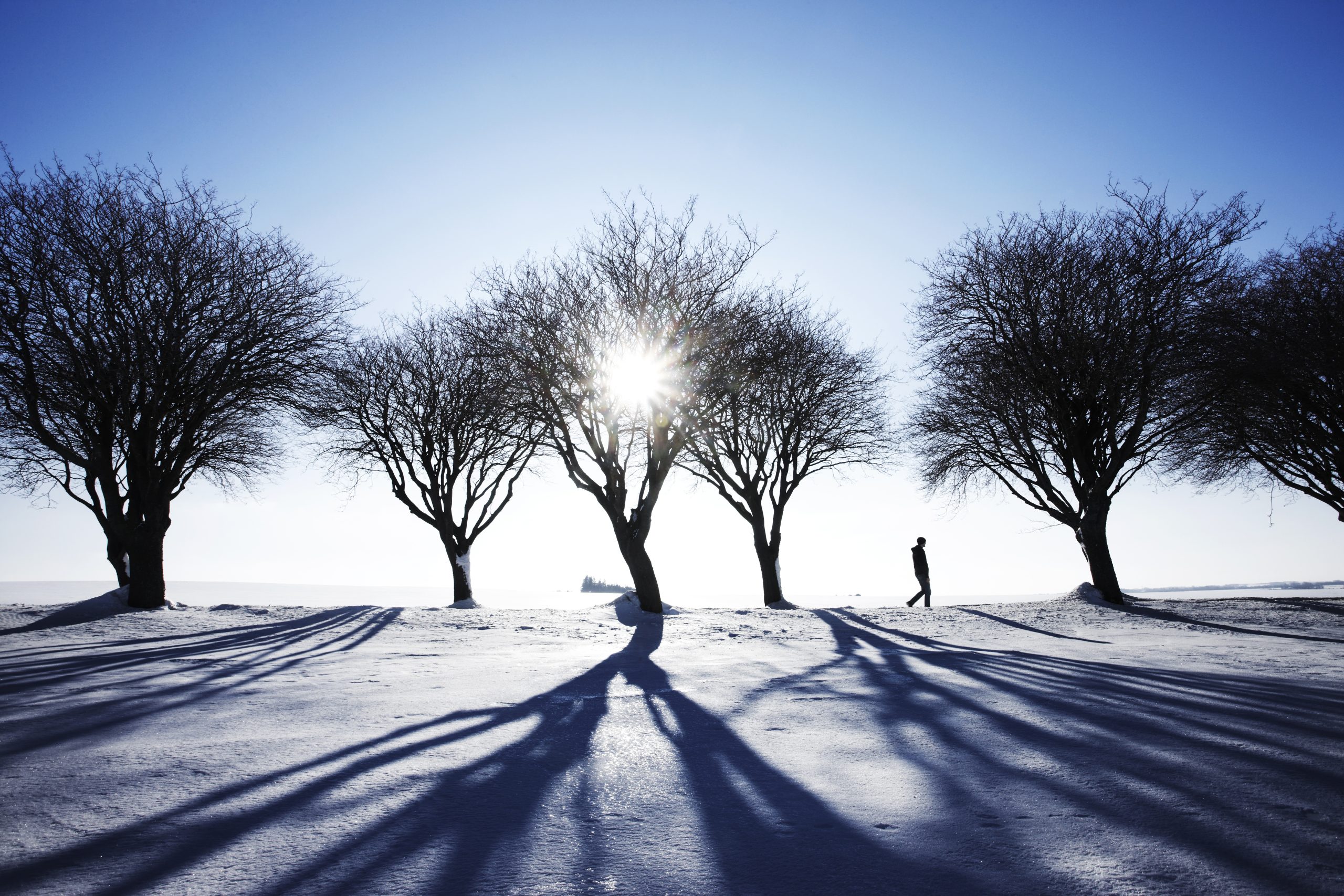 lange skygger i et landskap