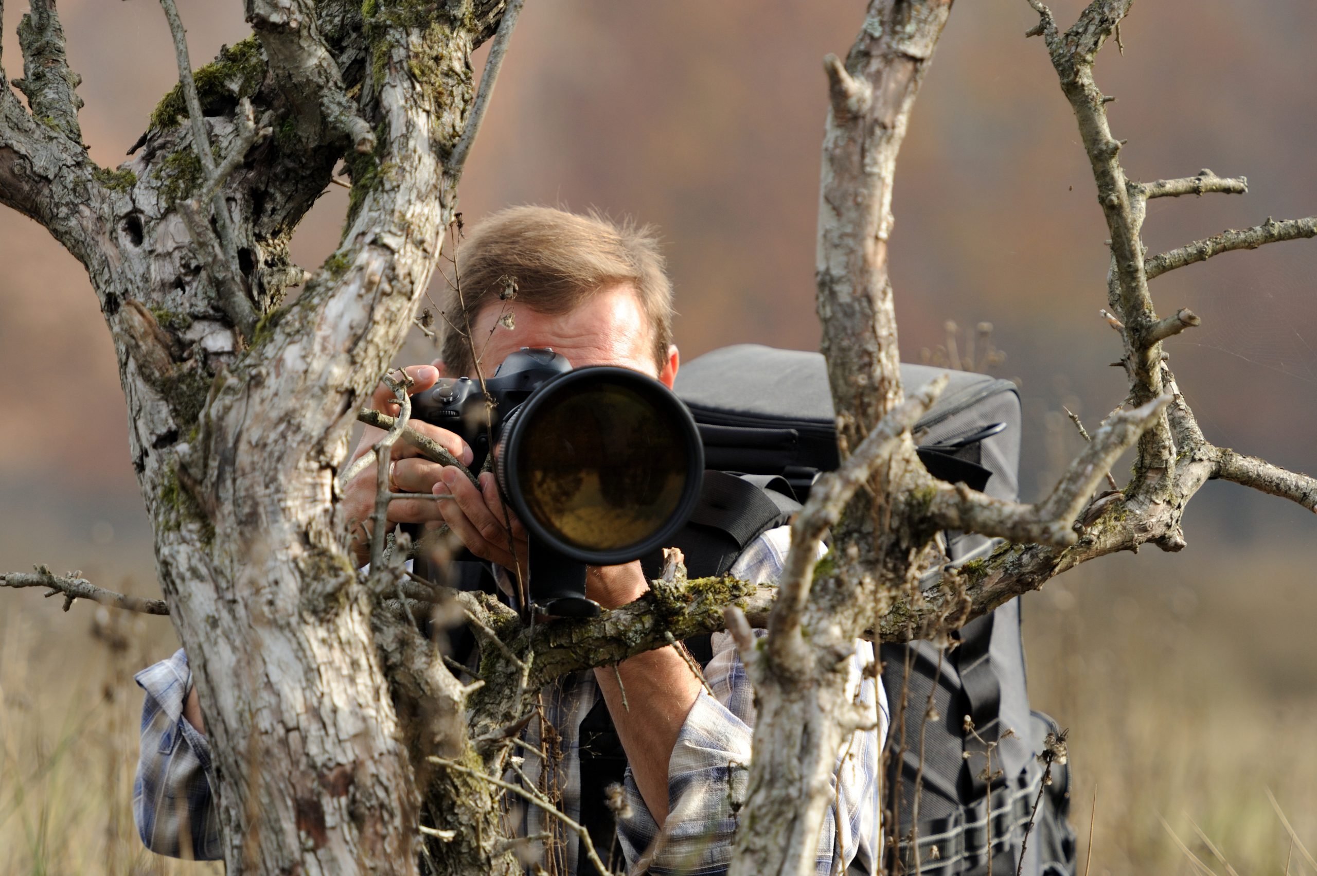 Man fotograferar vilda djur i naturen