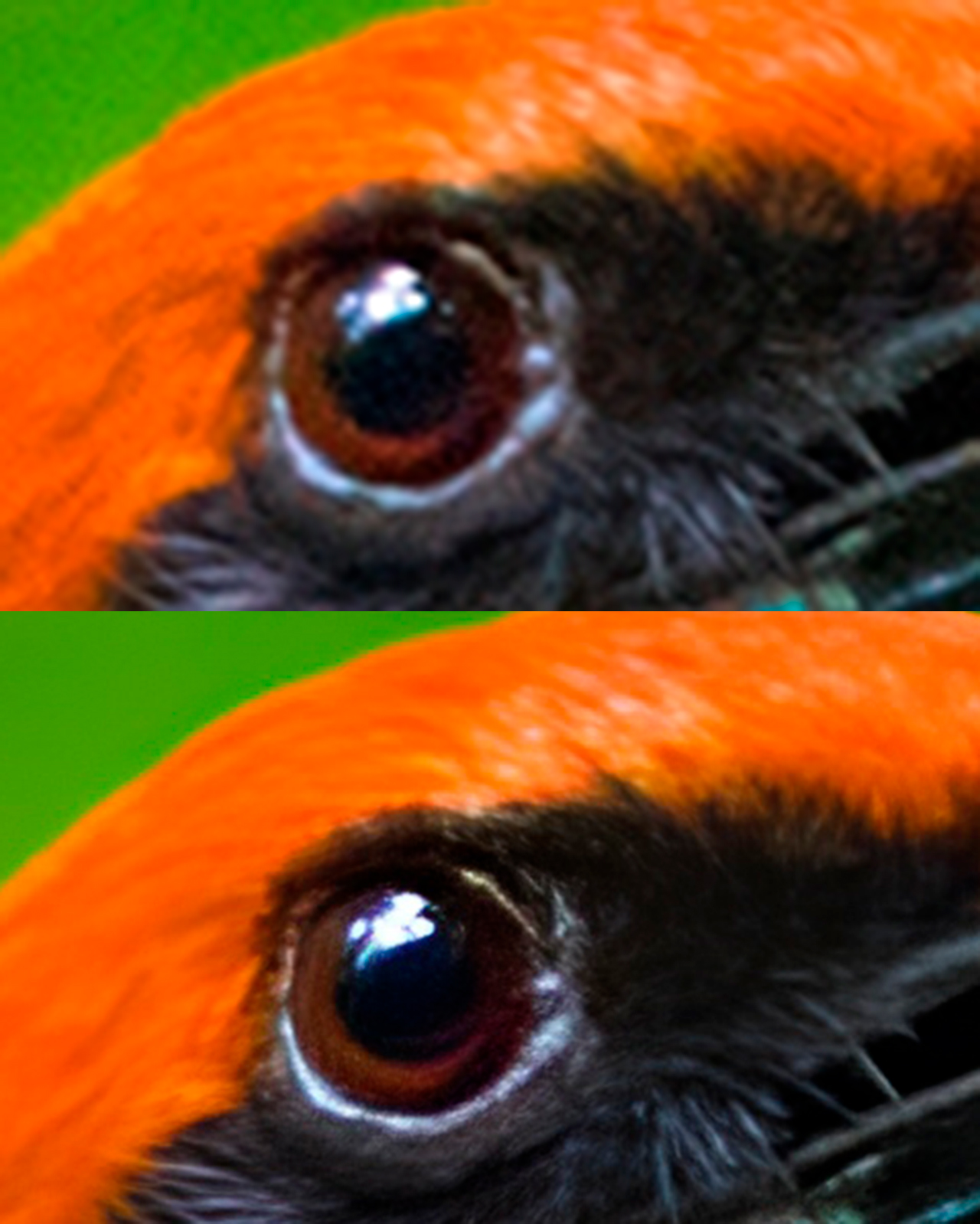 Det originale billede ovenfor er betydeligt mere pixeleret og sløret end det nederste billede, som er blevet opskaleret med Smart Image Upscaler.