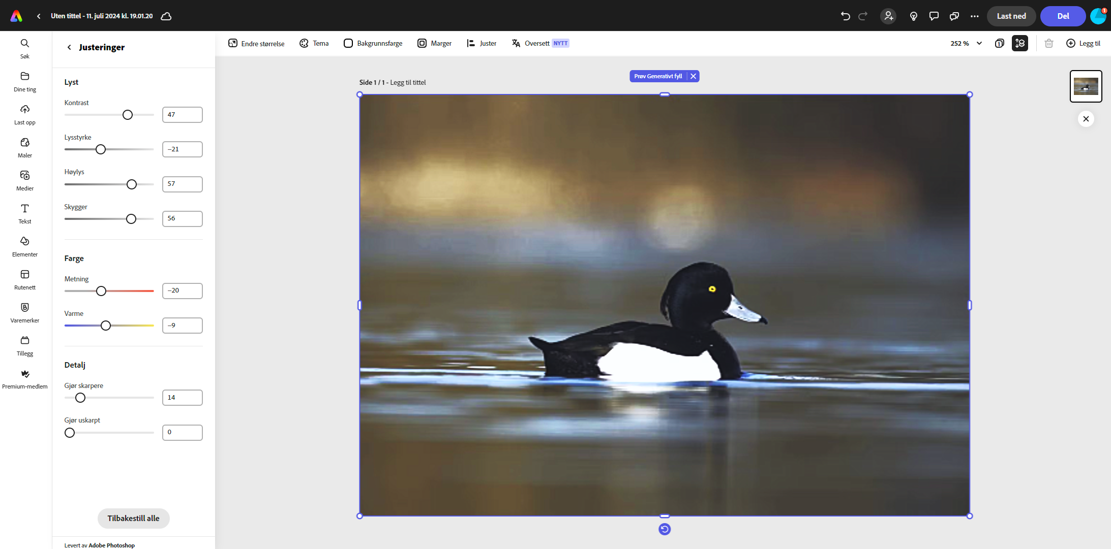 Det finnes vanlige verktøy for å justere lys, skygger, farger og kontrast.