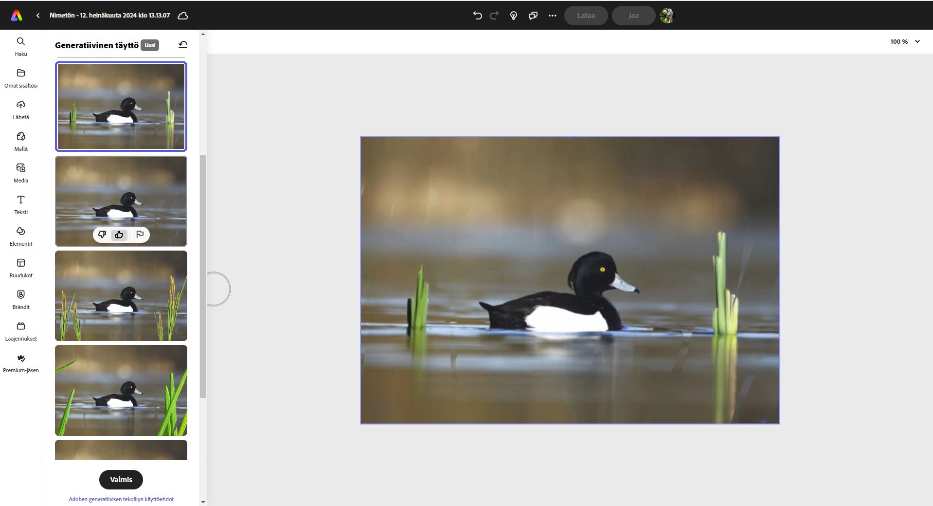 Valitse kuvan oikealta puolelta Generatiivinen täyttö, merkitse kohdealue ja kirjoita kenttään, mitä haluat ohjelman tekevän kuvaan.
