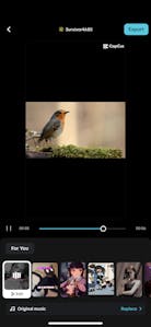 Velg blant en rekke ferdige maler.