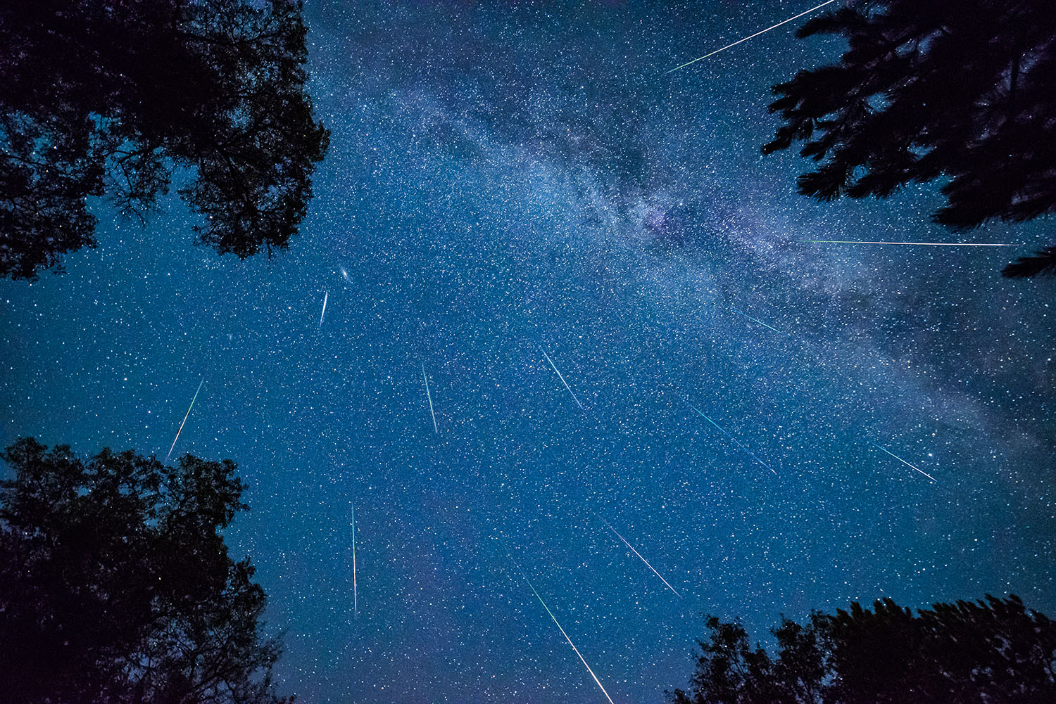 Tähdenlentoja puiden lomasta nähtynä.