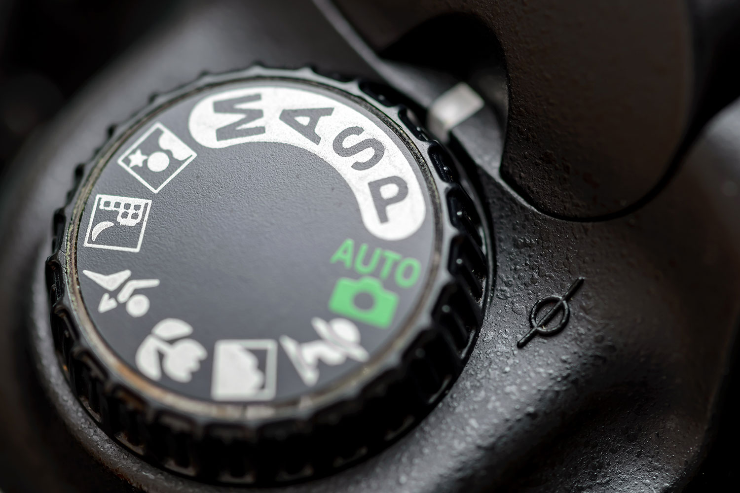 Programratt på kamera