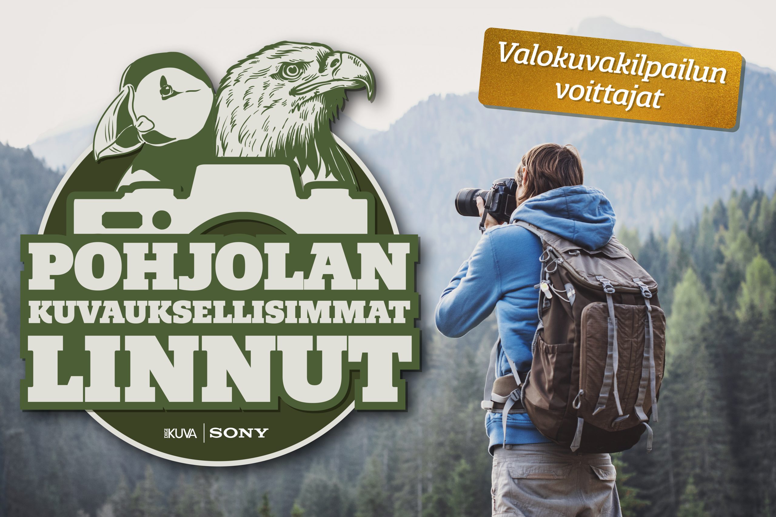Pohjolan kuvauksellisimmat linnut.