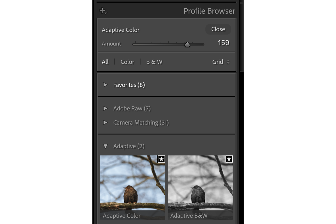 Val av Adaptiv Svartvit i Lightroom