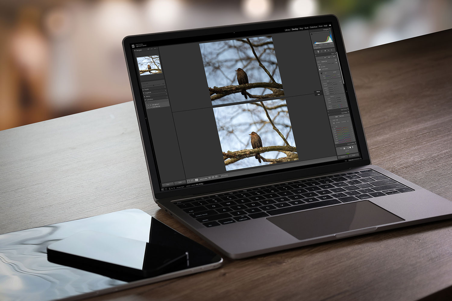 Adaptive profiles i Lightroom