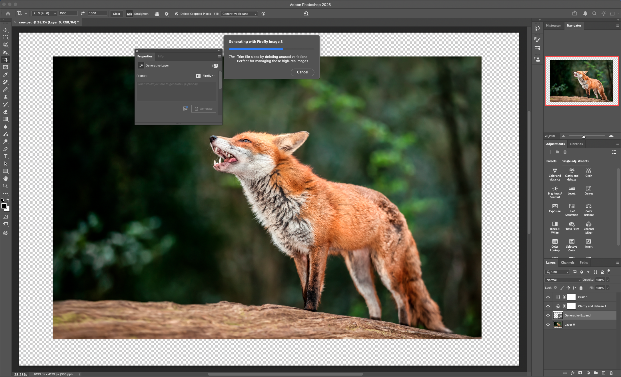 Du får finer resultater, når du bruger AI til at udvide billedets ramme.