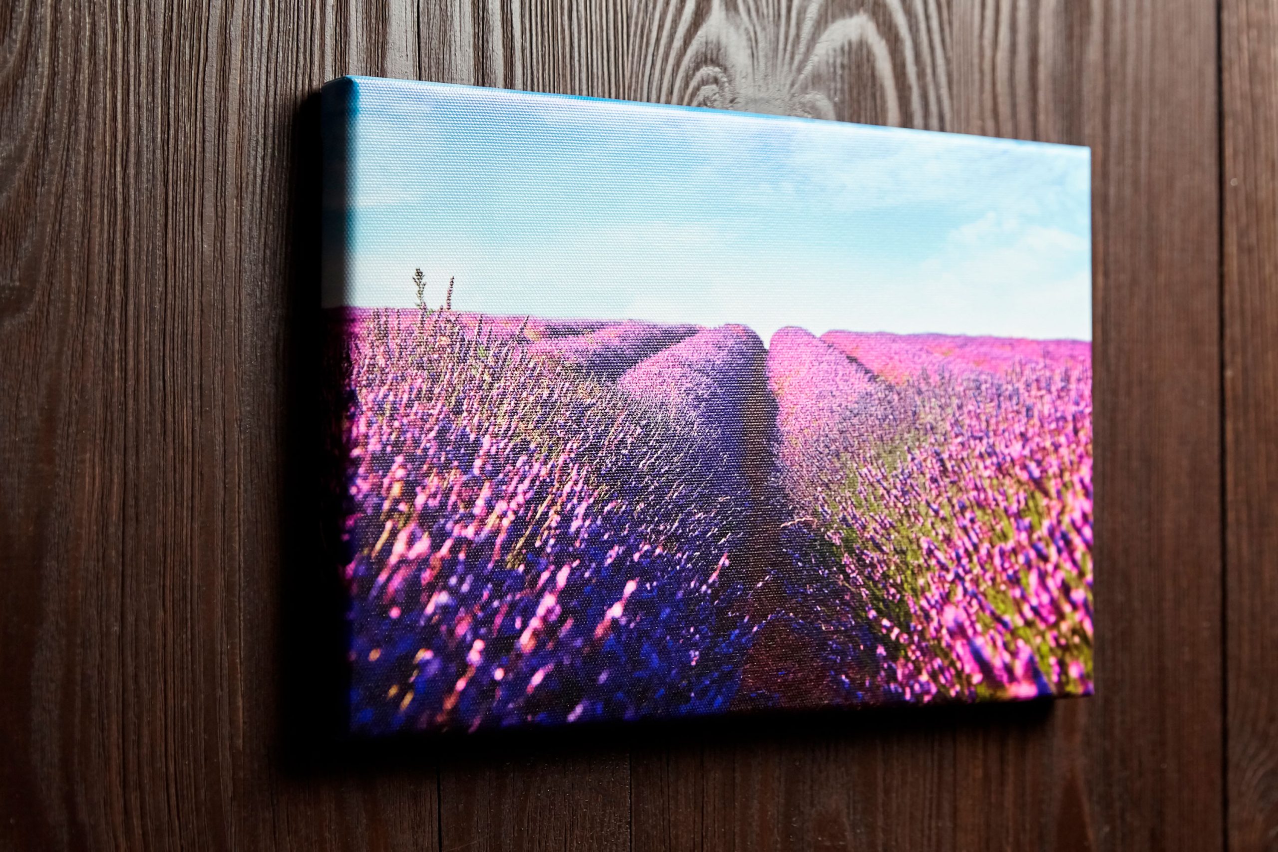 Kanvastauluksi tulostettu valokuva laventelipellosta.