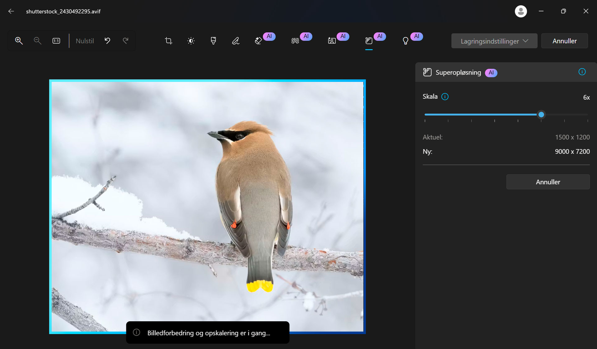 Du kan velge hvor mange ganger antallet piksler i bildet skal økes, med 8x som maksimum.