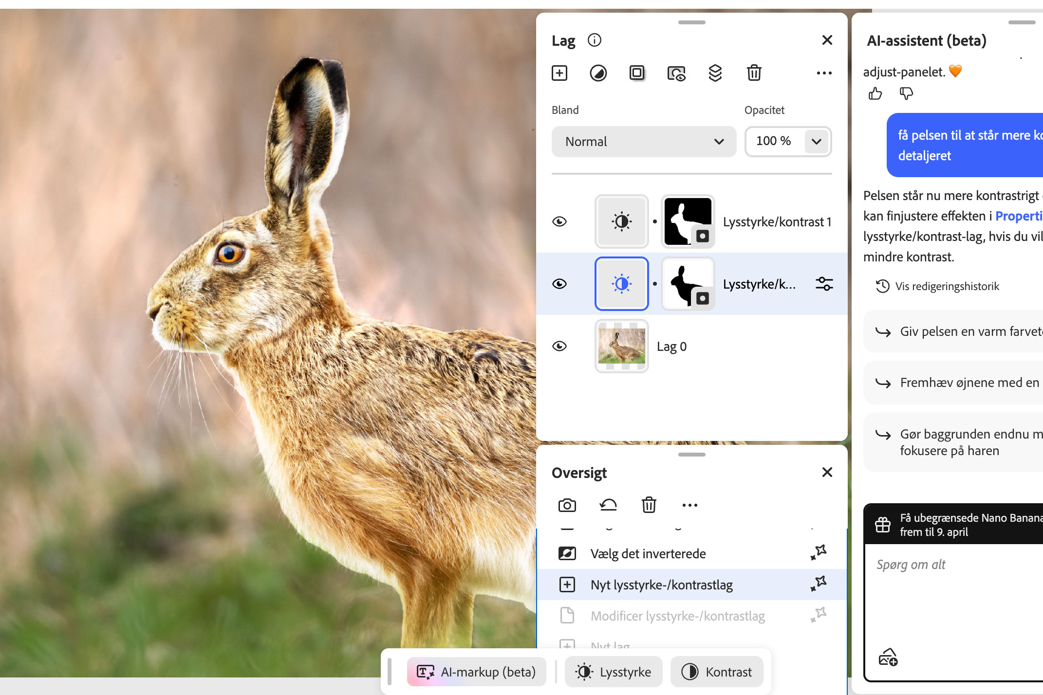 Assistenten opprettet selv en maske og valgte de riktige verktøyene da vi ba den om å få haren til å fremstå tydeligere i bildet.