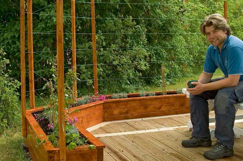 Levande vägg till altanen