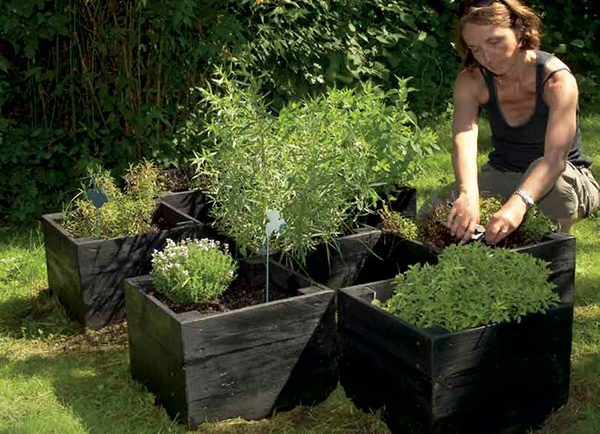 Modulopbyggede plantekasser