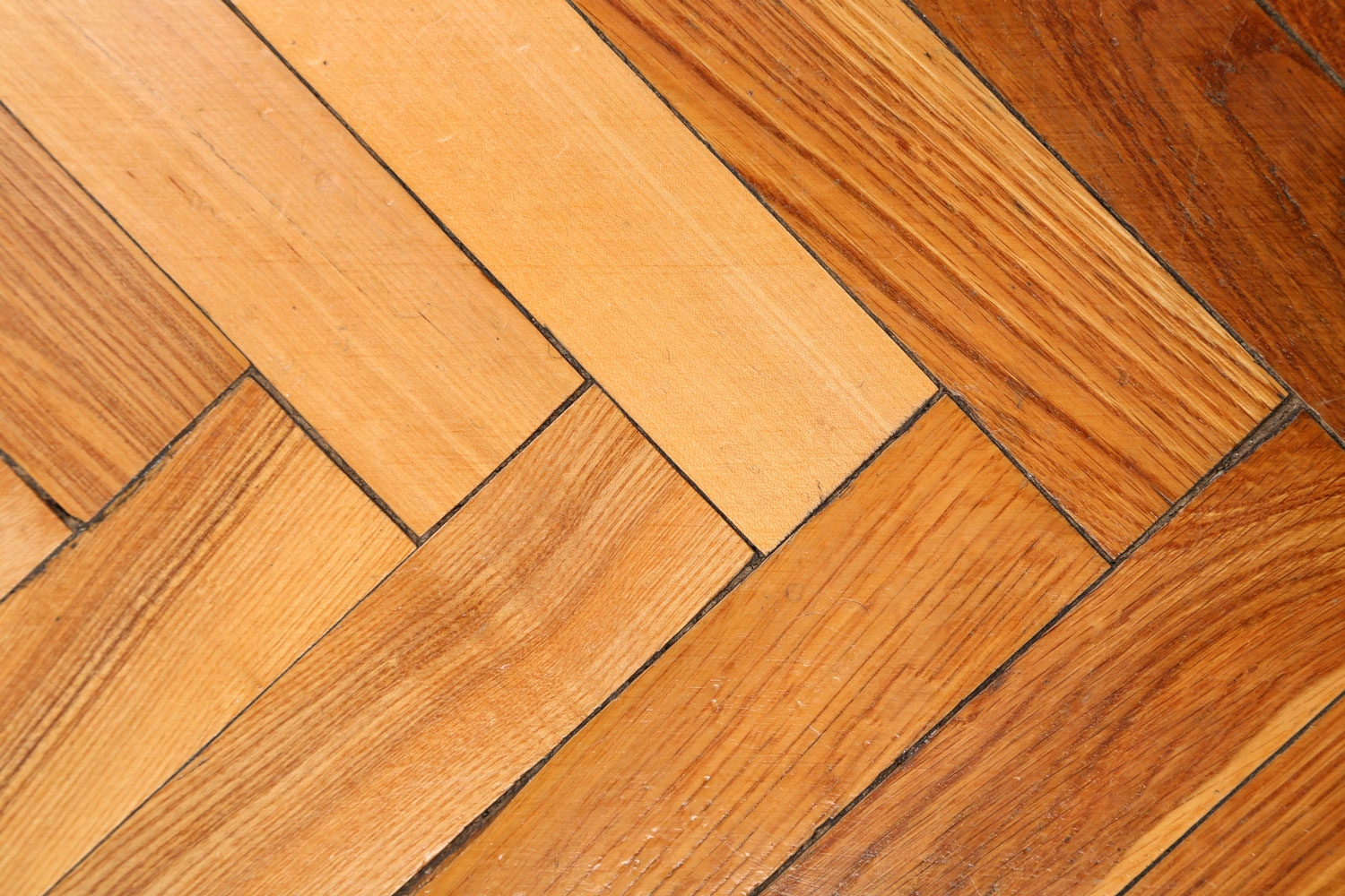 Legg fiskebeinsparkett