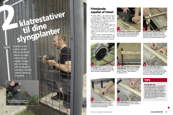 Hjemmelavet espalier på mur | Byg selv espalier | Wire espalier