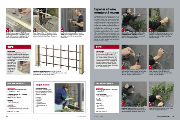 Hjemmelavet espalier på mur | Byg selv espalier | Wire espalier