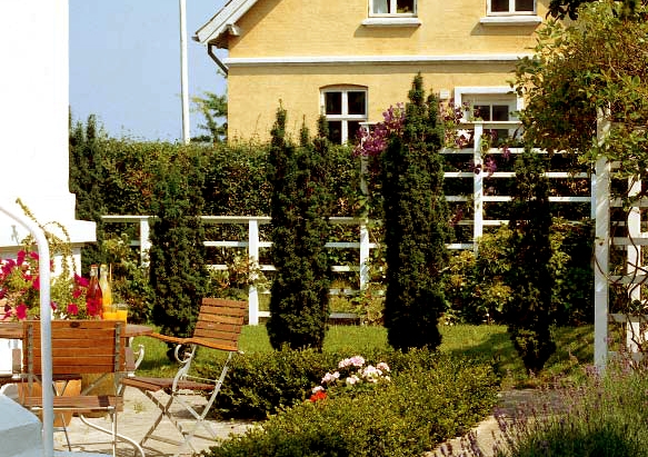 Espalier: Lav selv verdens nemmeste, billigste hegn