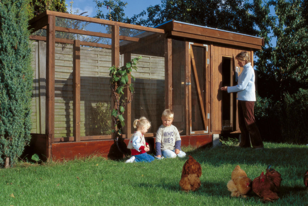Bygga hönshus – Lär dig att bygga hönshus själv