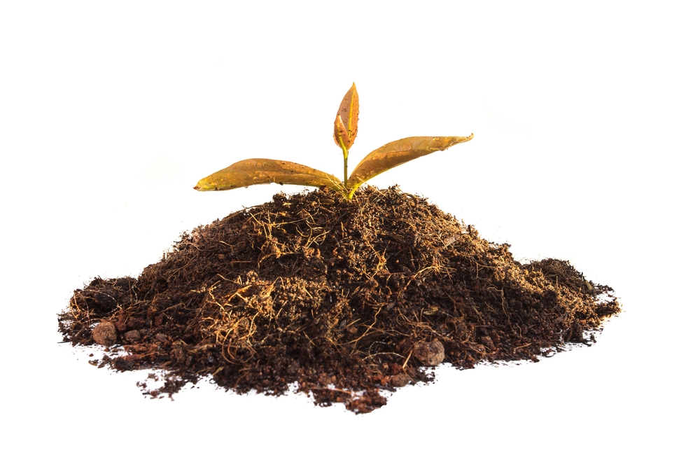 Isolerande nedfallna löv