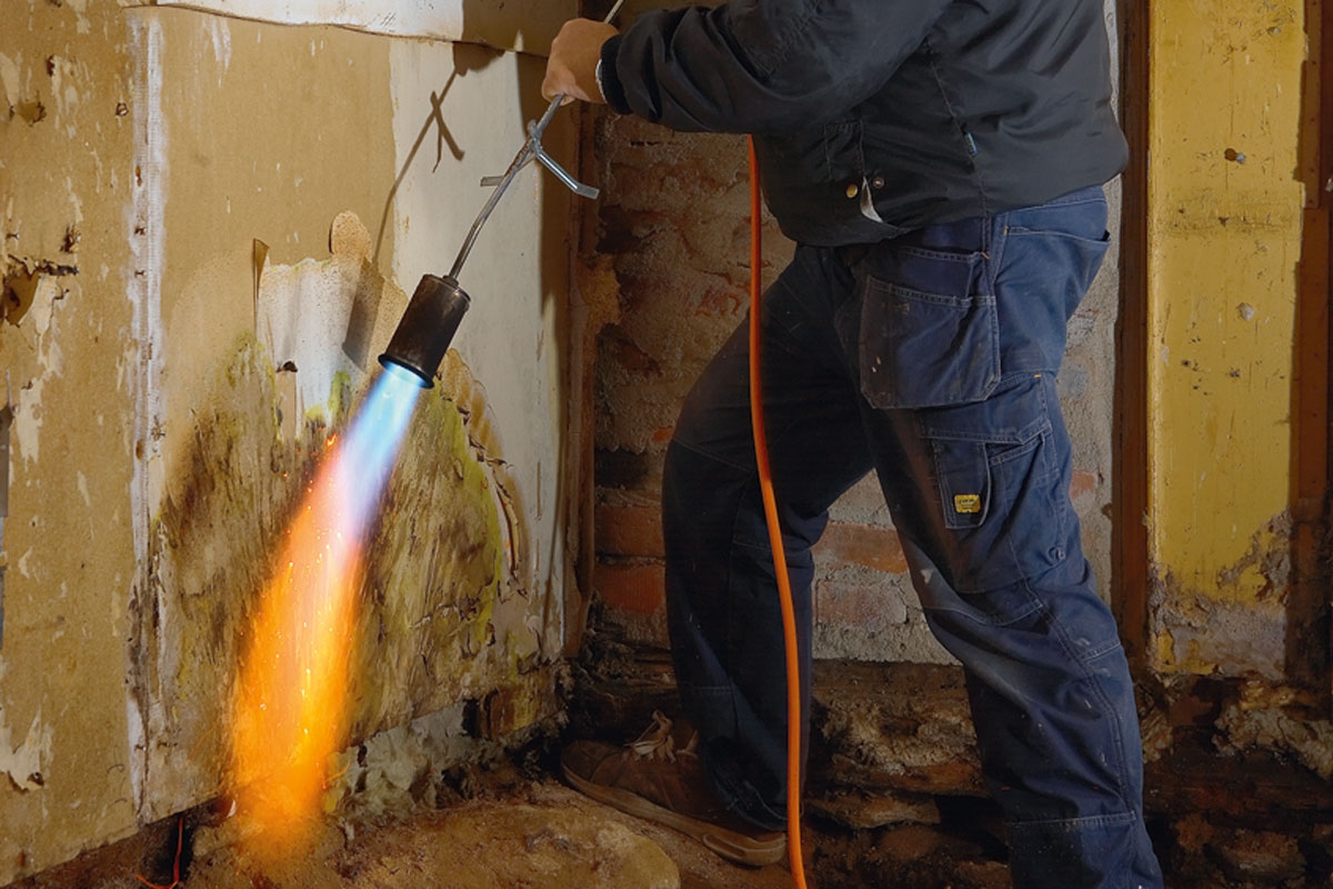 Bekæmpelse af hussvamp