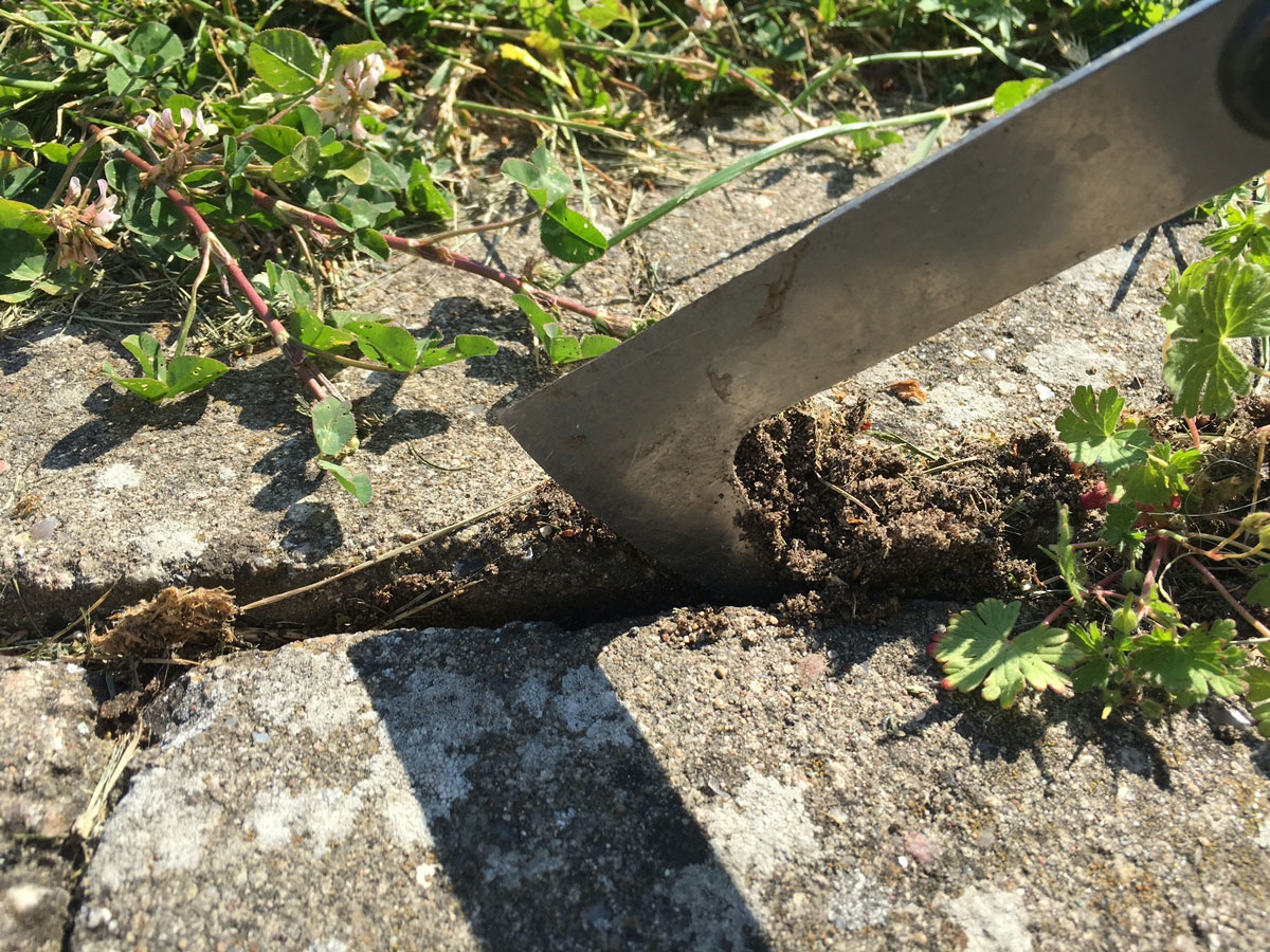 Krafs opp ugress mellom steinene