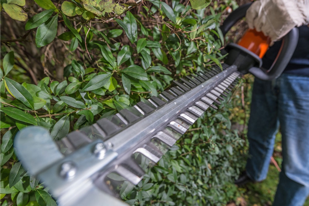 Måste jag rengöra min häcksax?