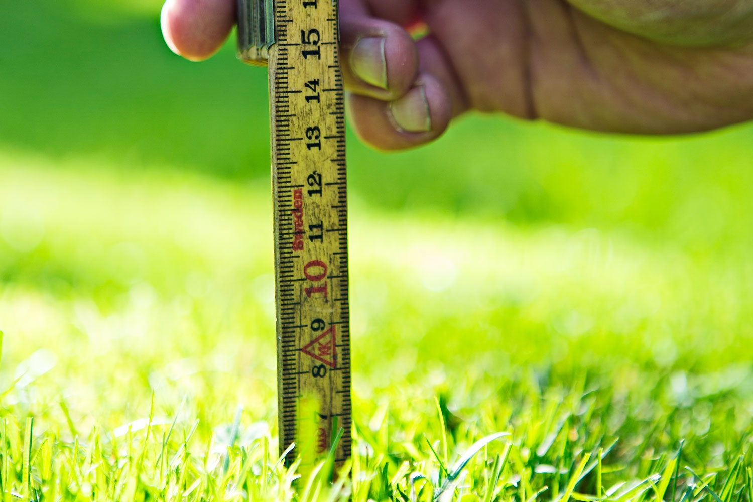 Gressplen - slik blir den grønn igjen