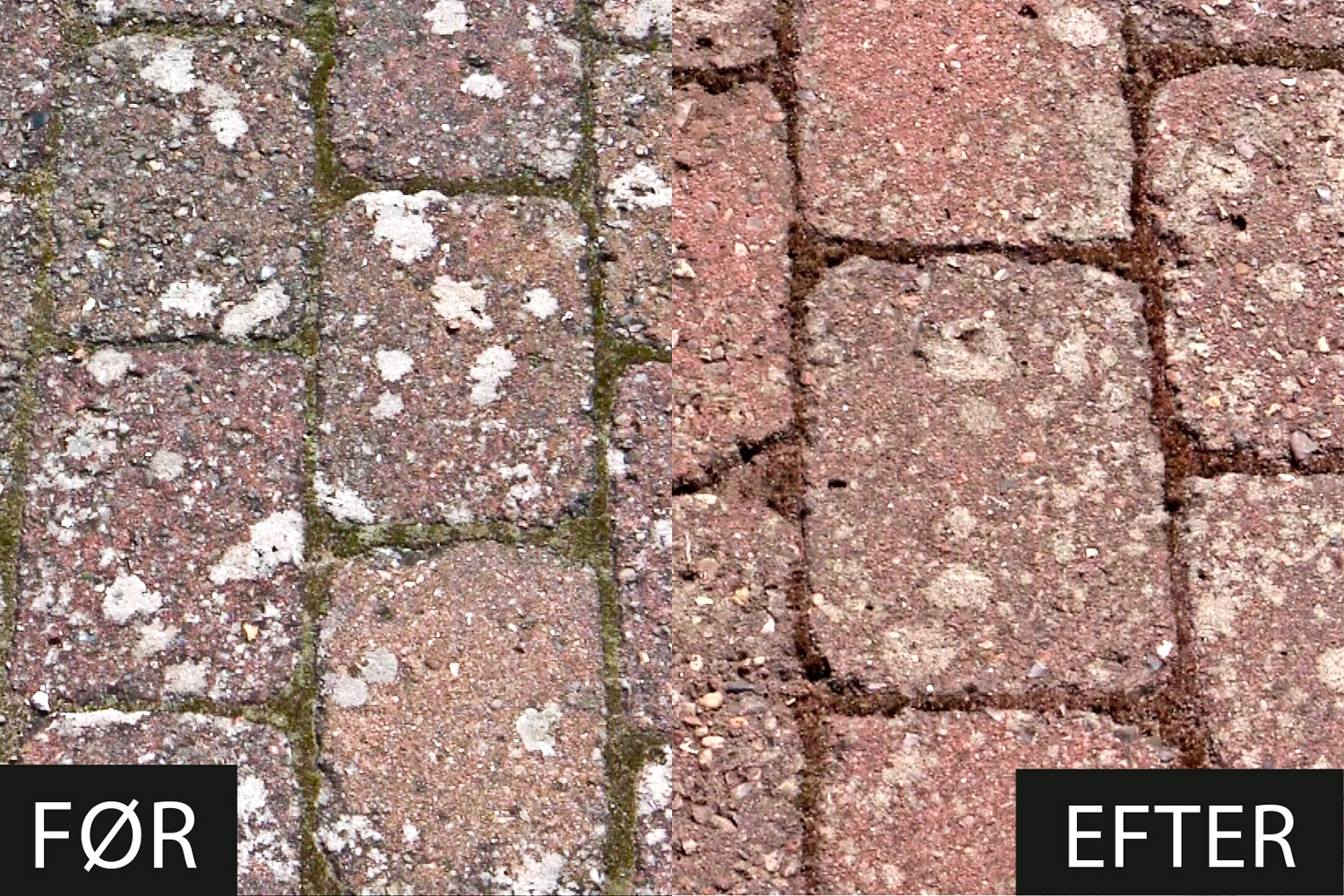 Flisepest: Brun sæbe er ikke effektivt mod flisepest