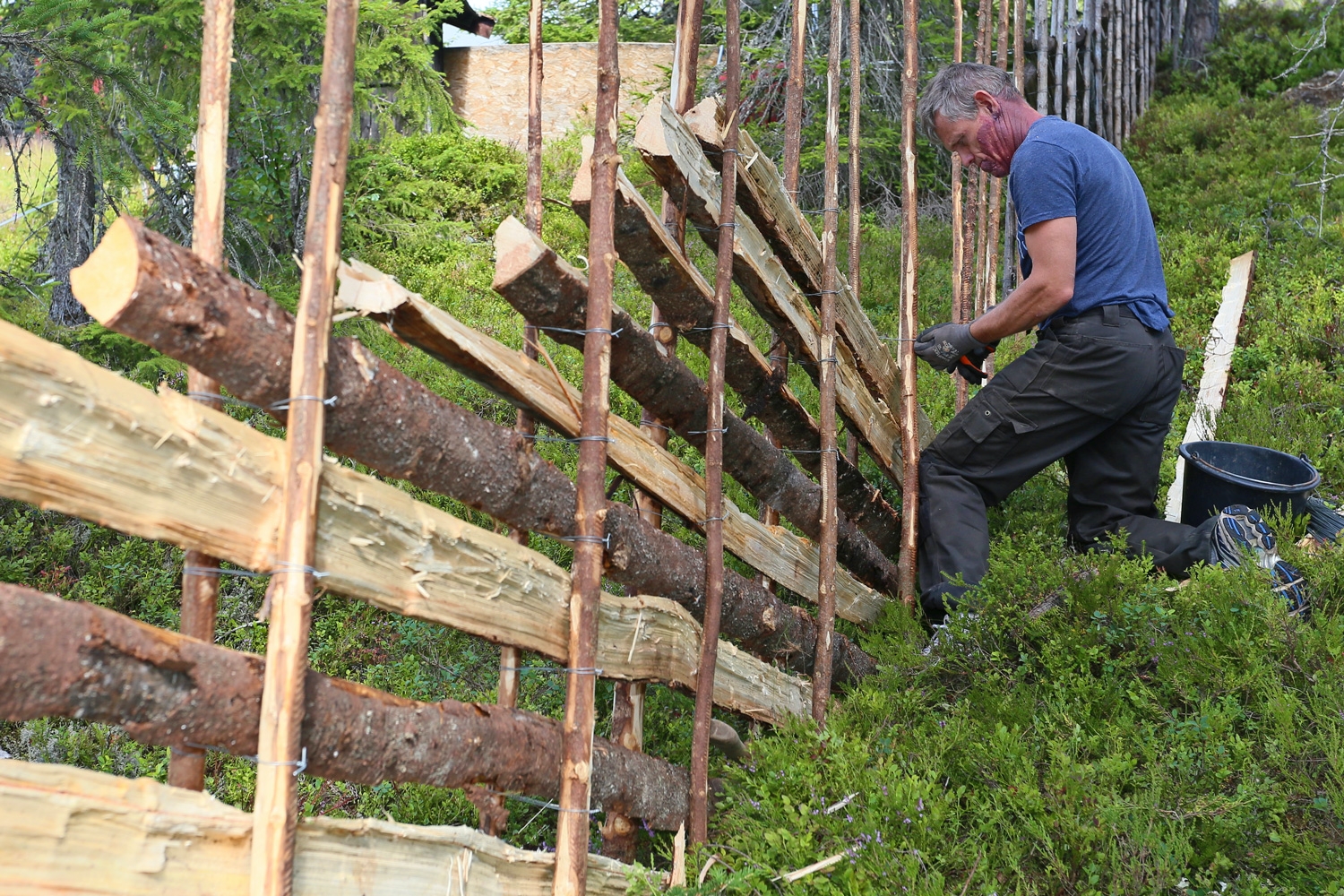 Skigard - nordisk naturhegn