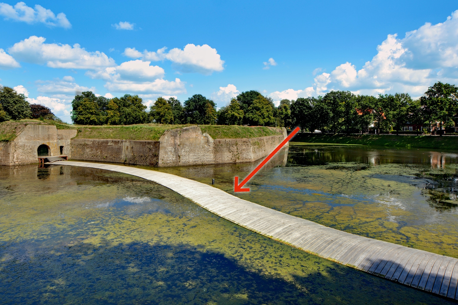 Accoya - Smart teknik giver træet superkrefter