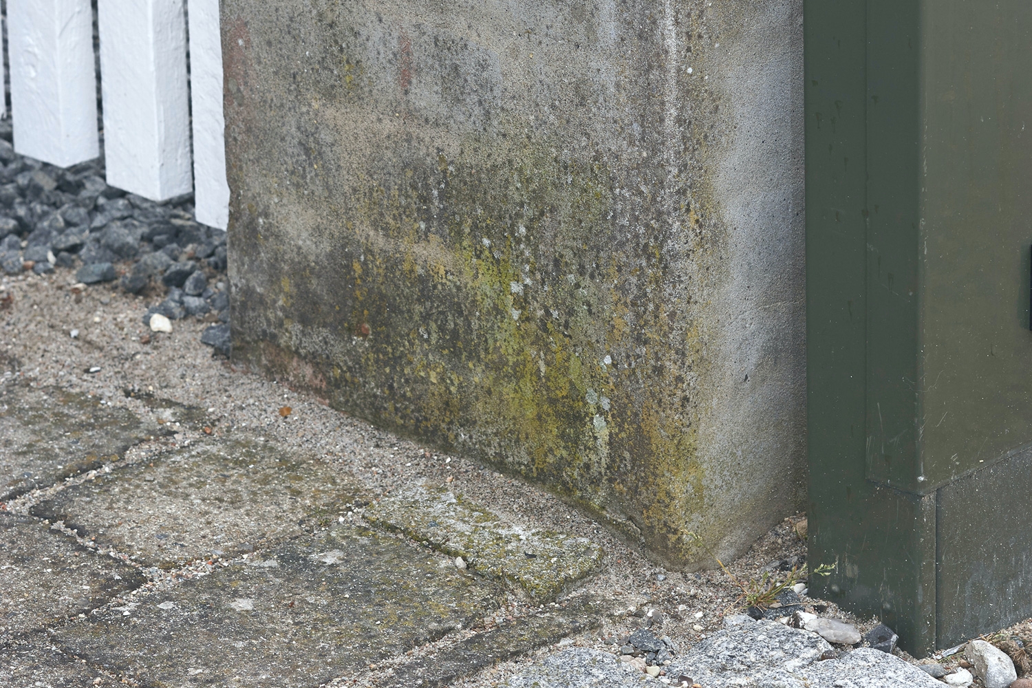 Alger på murværk - sådan fjerner du det