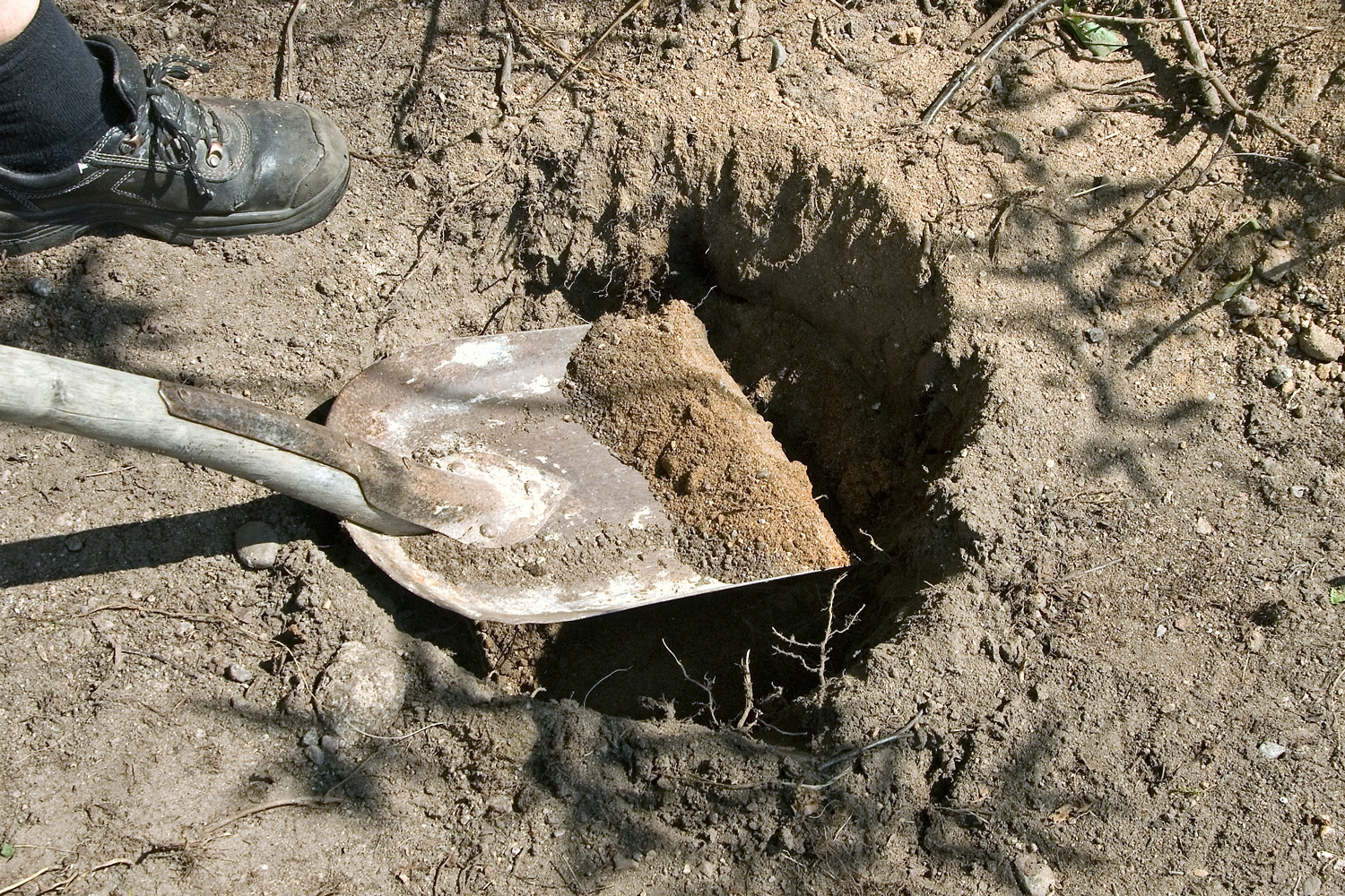 BETONIJALKA + PILARIKENKÄ