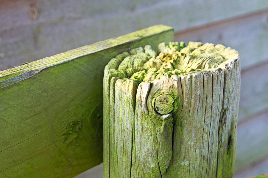 Hegn: Hjælp vandet væk fra stolperne med stolpehat