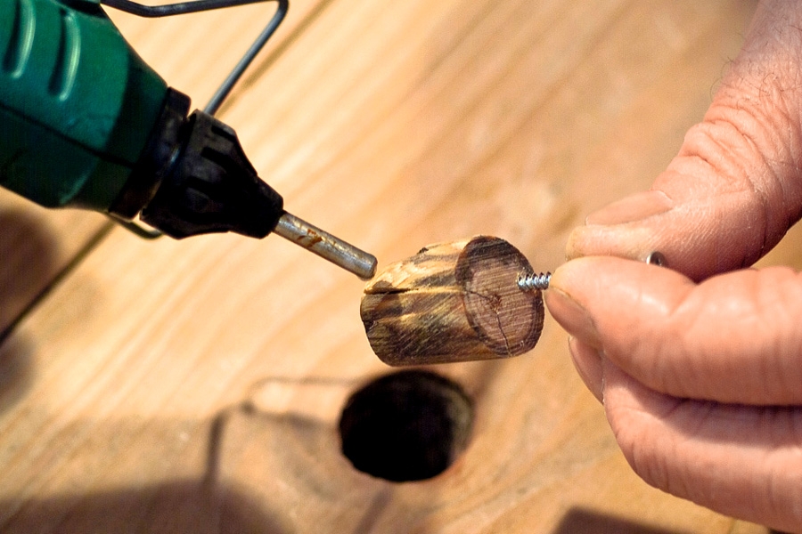 Voiko oksan asentaa takaisin?