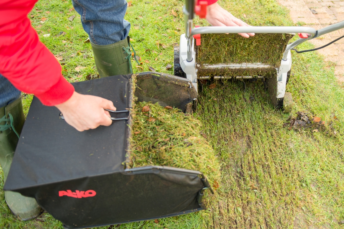Mosfjerner: Fjern mos med en mosfjerner