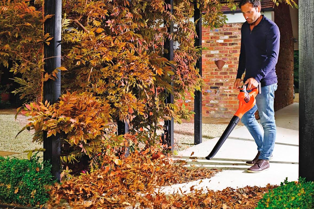 Løvblåser: Velg en løvblåser til disse oppgavene!