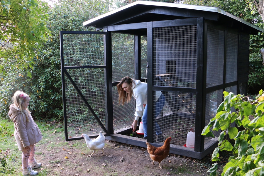 Hönshus i toppklass