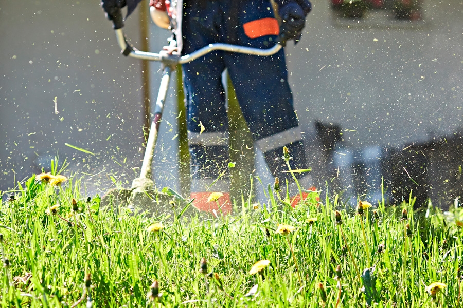 Röjsåg: En röjsåg fungerar också till att trimma kortare gräs, men här går en vanlig grästrimmer på batteri lika bra.