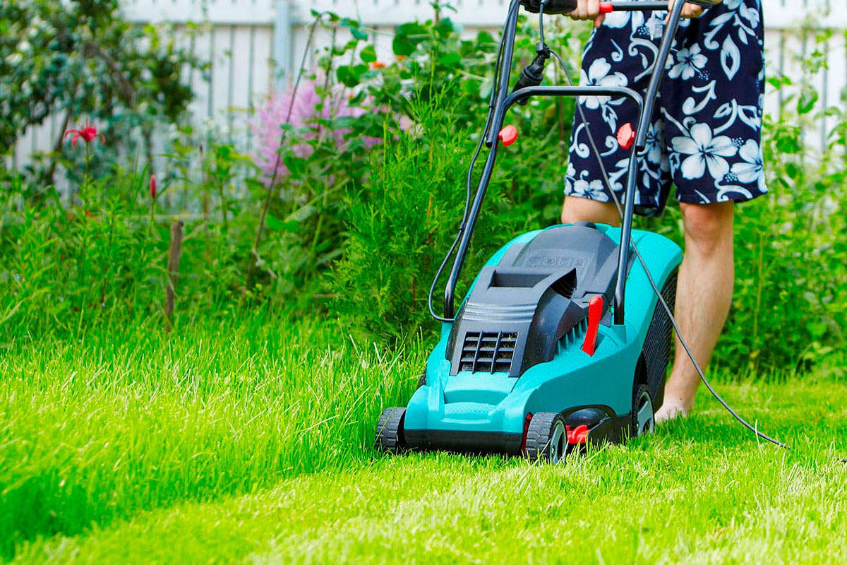 SÅDAN overlever din græsplæne ferien