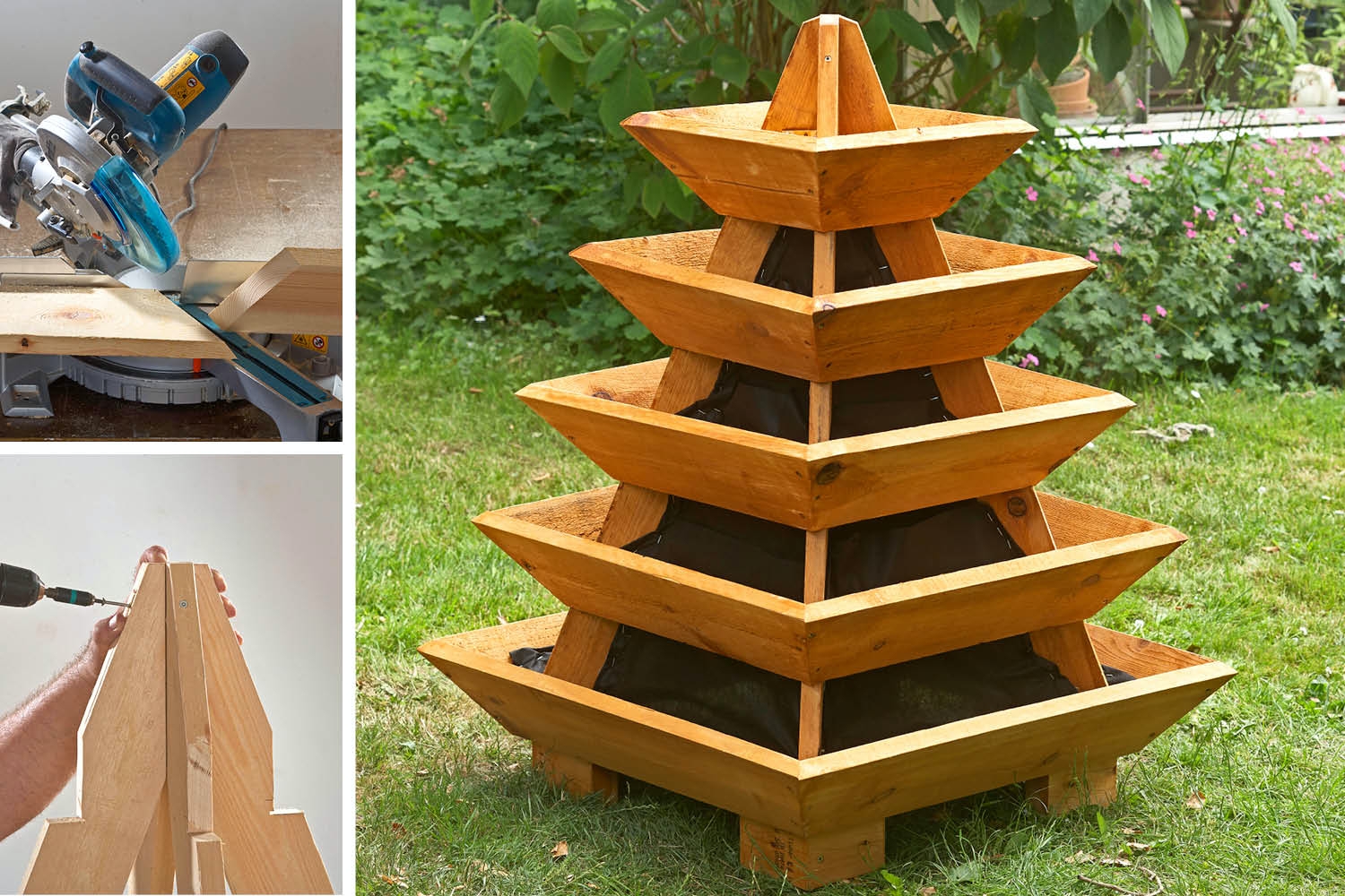 Växtpyramid: Så bygger du den