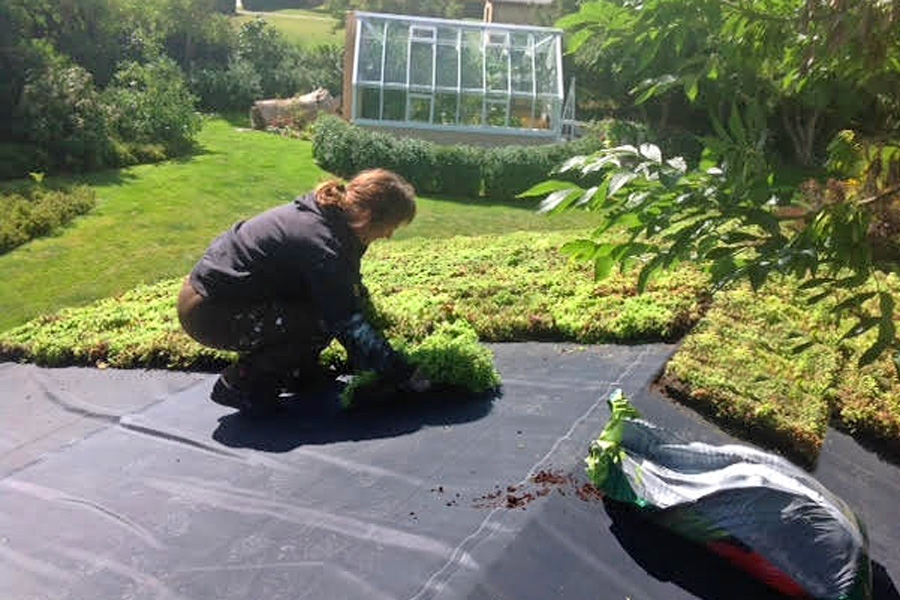 Sedumtak: Legg brettene oppå gummimembranen.