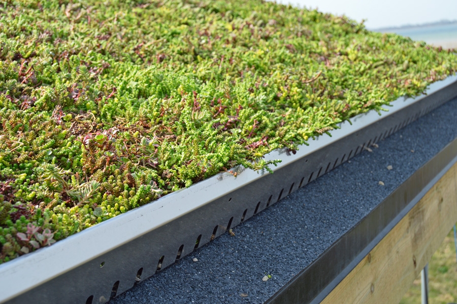 Viherkatto: Älä asenna leikattuja mattoja alumiinireunuksen viereen.