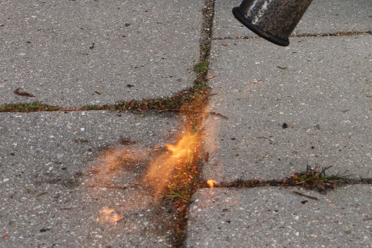 Rikkaruohojen polttaminen