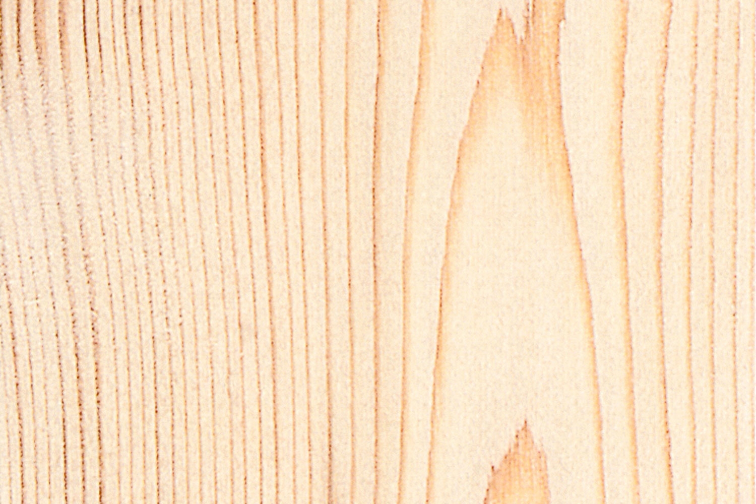 TRALL AV SIBIRISK LÄRK